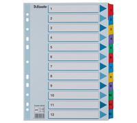 INDEX 1-12, A4, MULTICOLOUR; 100162 (ESSELTE) Qty X 1
