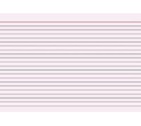 Index Cards A5 Lined Red