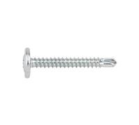 Index Fixing Systems Taez - Pack of 500 Screws Autotaladrant Head Alomada Baja Footprint Phillips and Washer (Galvanised) TAEZ4216