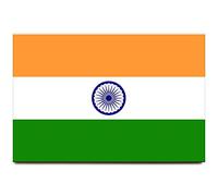 India flag fridge magnet Delhi Agra travel souvenir