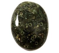 INDIA MADE 54.10 Cts Natural Star Galaxy Kambaba Jasper Cabochone Untreated Oval Gemstone-B07FCHJ3HT