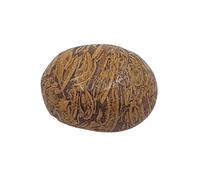 INDIA MADE 9.25 Ratti 8.25 Carat Mahe Mariyam Original Stone | Natural Jasper Gemstone | Sang E Maryam Stone |-B0C2Q93JVT