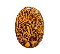 INDIA MADE Mariyam 15.25 Carat Mahe Mariyam Original Stone | Natural Jasper Gemstone | Sang E Maryam Stone |-B0C2KXH25Z