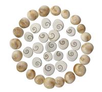 INDIA MADE Natural Gomati Chakra For Diwali Puja 11 Pcs | Sea Shell Gomti Chakra Original For Lakshmi Pooja Financial Growth Temple Wealth Prosperity Good Luck-B0BK5516L8