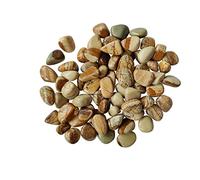 INDIA MADE Natural Picture Jasper Tumble Stones For Reiki Stone easing Crystal Yellow Tumbled Gemstones 50 Grams-50.0 Grams-B0CBSHCSSR