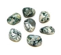 INDIA MADE Natural Raw Rough Stones For Reiki easing, Vastu Correction And Crystal easing Tree Agate Tumble 150 Gram-B0DJ9N166K