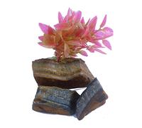 INDIA MADE Natural Specimens For Education Reiki Crystal easing Vastu Meditation Chakras Strength Wealth Love Life Happiness-B08YNZ272Z