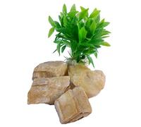 INDIA MADE Natural Specimens For Education Reiki Crystal easing Vastu Meditation Chakras Strength Wealth Love Life Happiness-B08YNV6216