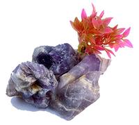 INDIA MADE Natural Specimens For Education Reiki Crystal easing Vastu Meditation Chakras Strength Wealth Love Life Happiness-B08YNTYCLS