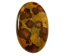 INDIA MADE Ocean Jasper Oval Natural Loose Gemstone 30.6Cts Od81-B08T7MB1PH