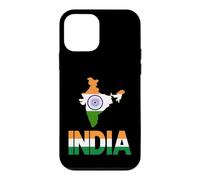 India Map Tricolor Ashoka Chakra Indian Flag Case for iPhone 12 mini
