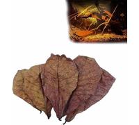 Indian Almond Leaves for Betta,Catappa Leaves for Aquarium Shrimp Tank Decorations, PH Balancer for Water Conditioner (5PCS)