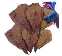Indian Almond Leaves - Natural Catappa Leaves | 10/50Pcs Ketapang Leaf Shrimp Betta Fish Aquarium Care | Adjust the pH of the Water, Promote Healing, Enhance Breeding, Improve Fish Tank Environment