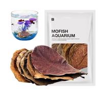 Indian Almond Leaves - Pack of 10 Large Dried Leaves, Natural Tannin Release, Balancing | Catappa Part for Betta