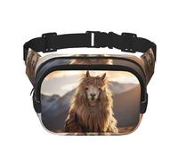 Indian Alpaca Square Double-Layer Waist Bag Mini Adjustable Waist Belt Bag Exercise Running Travel Hiking, Black, One Size