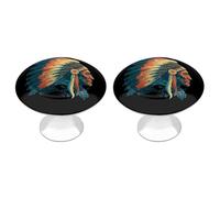 Indian Chief Wearing War Bonnet Funny Cabinet Knobs 2 Pack Round Drawer Dresser Pulls Door Handles Knobs for Door Wardrobe