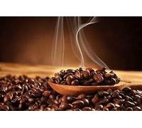 Indian Coffee Beans from Tamil Nadu Plantations 5kg - Quality Gourmet Beans with Deep Aroma & Bold Flavour Notes
