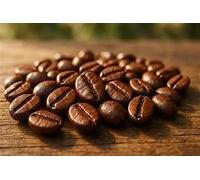 Indian Coffee Beans Selection 1kg - Karnataka, Kerala & Tamil Nadu Blend for a Truly Diverse and Flavour-Rich Coffee Experience