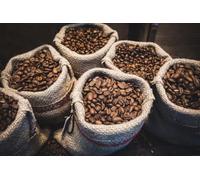 Indian Coffee Beans Selection 5kg - Karnataka, Kerala & Tamil Nadu Blend for a Truly Diverse and Flavour-Rich Coffee Experience