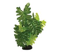 Indian Fern Silk Like Plant 20cm by KenKoi