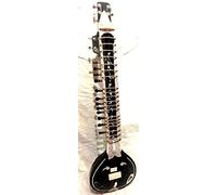 Indian Handmade ~ Electric Sitar Shri Ravi Shankar Style Designer Tun Wood Free String & Mizrab + Bag