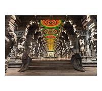 Indian Hindu Temple Backdrop Religious Hall of Thousands of Columns Ancient Temple Photography Background Basrelief Statues India Culture Backdrop Decors Portrait Shoot Photo Studio Props 8x6ft