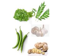 Indian Kitchen Essential Box || Coriandar-1 Bunch|| Garlic-200gm|| Ginger-200 gm || Green Chilli-200gm|| Curry Leaf-1 Bunch