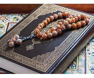 Indian Muslim Identity and Colonial Rule