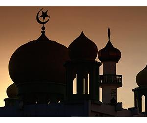 Indian Muslim Politics between the Wars