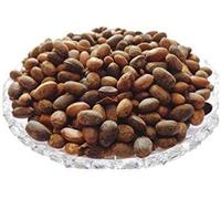 Indian Natural JadiBooti Jamalghota
