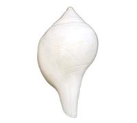 Indian Natural Loud Blowing shankh First Quality Engraved, Size 10 cm Conch in White Color and Large Size | Shankhnaad Shankh by Indian Collectible