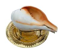 Indian Natural Sacred Puja Blowing Shankh/Shanku/Conch with Brass Shank Stand (Size:- 6x6x12CM) by Indian Collectible