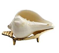 Indian Natural Vamavarti shankh Conch Shell White with Brass Stand for Pooja @ 3 inch by Indian Collectible