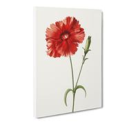 Indian Pink Flower By Frederick Edward Hulme Canvas Print | Gallery Wrapped 30mm Frame Wall Art | 30x20 inches | Ready to Hang | Retro Floral Picture | Living Room Bedroom Lounge Office