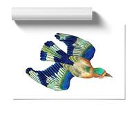 Indian Roller Bird by George Shaw Design | Unframed Wall Art Print | Ready to Frame Poster | Modern Home Decor Picture | Artwork for Living Room, Bedroom, Kitchen or Office | A3 (29.7x42 cm)