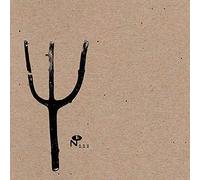 Indian Summer - GIVING BIRTH TO THUNDER [VINYL]