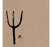 INDIAN SUMMER - GIVING BIRTH TO THUNDER [VINYL]