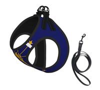 Indiana State Flag Print Small Dog Harness with Leash Set, No Escape Easy Walk Puppy Harnesses for Training Walking