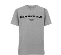 Indianapolis Colts Men's T-Shirt - Gray / L