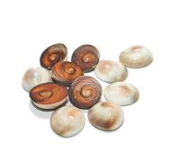 IndianStore4All 100% Pure Unpolish 11 PCS of Gomati Chakra. for Peace and Prosperity,Gomti Chakra, Energized 20 mm Approx