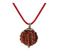 IndianStore4All Nepali Ganesh Rudraksha Pendant Ganesha Rudraksha 20 To 22 mm Approx, Rudraksha