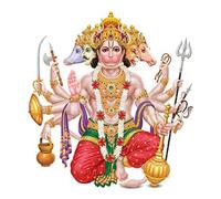 INDIANSTORE4EVERYONE Panchmukhi Hanuman Religion Wall Sticker 1.96 X 20.86 X 1.96 Inches, Multicolour (Model Number: White Glossy Vinyl-0038)