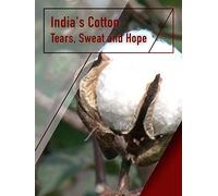 India's Cotton - Tears, Sweat and Hope