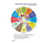India's Creation Human Body Energy Clock Chart-Meridian Flow Wheel-Acupressure-Code 1625