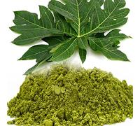 India's Creation Papaya Leaf Powder-Papita Patta Powder-Raw Herbs-Jadi Booti-Single Herbs (100 Gram)