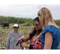 Indigenous Communities