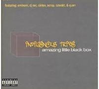 Indigenous Tribe - An Amazing Little Black Box