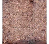 Indignant Senility - Consecration Of The Whipstain [VINYL]