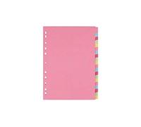 indigo® Dividers A4 Assorted Multipunched Perforated Card Manilla Blank (20 Part, Pack of 1)