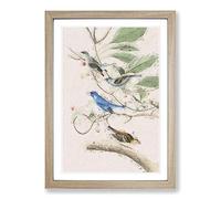 Indigo Birds by John James Audubon Framed Print | A2 Oak Framed Wall Art | Ready to Hang | Modern Nature Picture | Living Room Bedroom Lounge Office